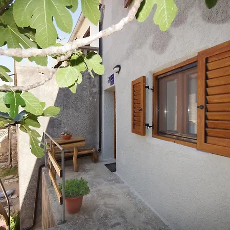 Galija Apartment